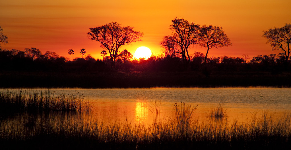 8days-botswana-okavango-deltaandkalahari-family-flying-safari