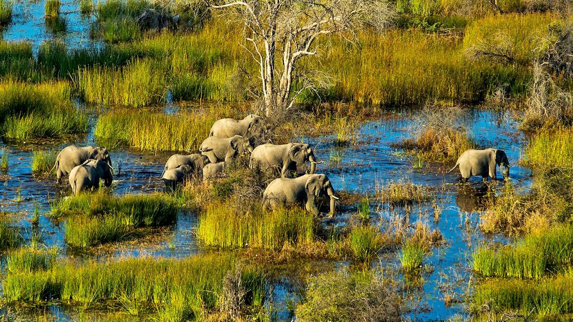 6day-okavango-delta-flying-safari-experience