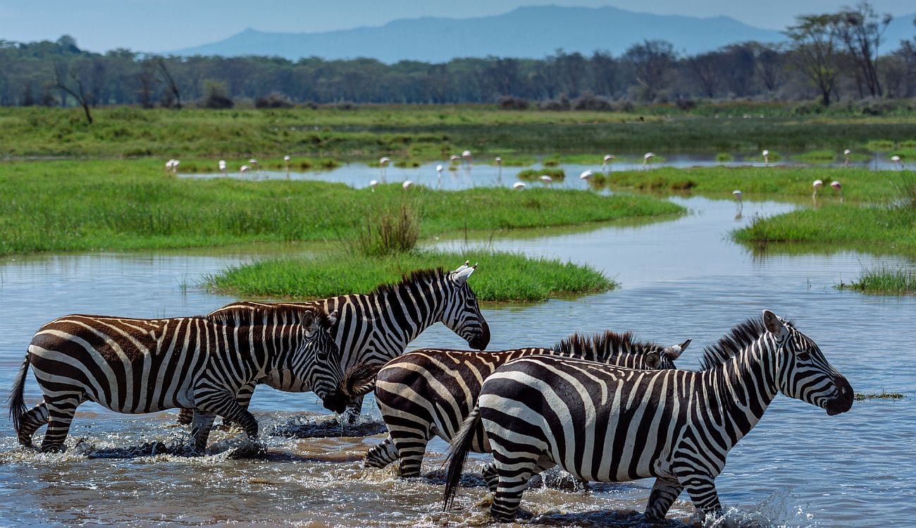 16days-zambiaandbotswana-flying-safari